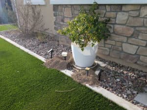 Gopher damage in artificial turf next to rocks and plants